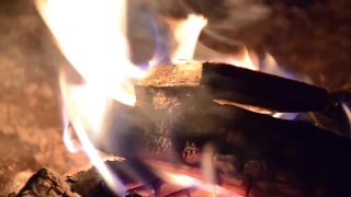 No Copyright Video, No Copyright Stock Footage, No Copyright Stock Video Clip