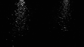 No Copyright Video, No Copyright Stock Footage, No Copyright Stock Video Clip