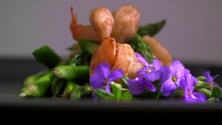 No Copyright Video, No Copyright Stock Footage, No Copyright Stock Video Clip