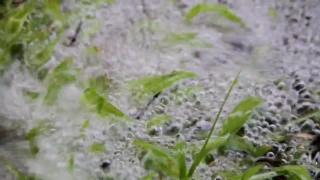 No Copyright Video, No Copyright Stock Footage, No Copyright Stock Video Clip