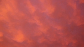 No Copyright Video, No Copyright Stock Footage, No Copyright Stock Video Clip