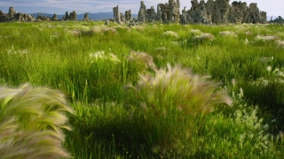 No Copyright Video, No Copyright Stock Footage, No Copyright Stock Video Clip