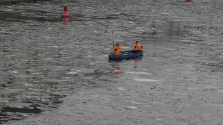 No Copyright Video, No Copyright Stock Footage, No Copyright Stock Video Clip