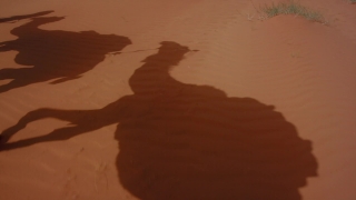 No Copyright Video, No Copyright Stock Footage, No Copyright Stock Video Clip