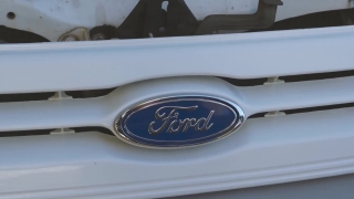 No Copyright Video, No Copyright Stock Footage, No Copyright Stock Video Clip