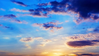 No Copyright Video, No Copyright Stock Footage, No Copyright Stock Video Clip