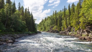 No Copyright Video, No Copyright Stock Footage, No Copyright Stock Video Clip