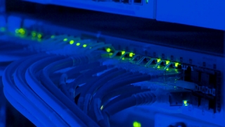 No Copyright Video, No Copyright Stock Footage, No Copyright Stock Video Clip