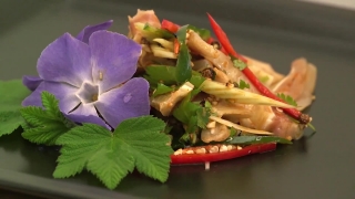 No Copyright Video, No Copyright Stock Footage, No Copyright Stock Video Clip