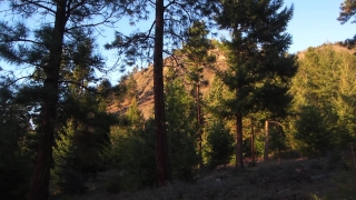 No Copyright Video, No Copyright Stock Footage, No Copyright Stock Video Clip