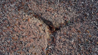 No Copyright Video, No Copyright Stock Footage, No Copyright Stock Video Clip