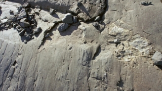 No Copyright Video, No Copyright Stock Footage, No Copyright Stock Video Clip