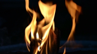 No Copyright Video, No Copyright Stock Footage, No Copyright Stock Video Clip