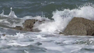 No Copyright Video, No Copyright Stock Footage, No Copyright Stock Video Clip