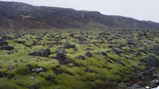 No Copyright Video, No Copyright Stock Footage, No Copyright Stock Video Clip