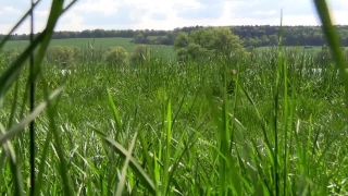 No Copyright Video, No Copyright Stock Footage, No Copyright Stock Video Clip