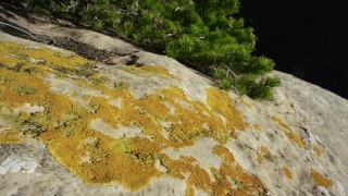 No Copyright Video, No Copyright Stock Footage, No Copyright Stock Video Clip