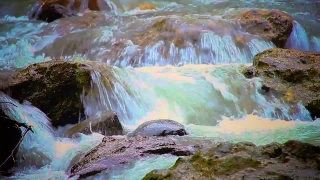 No Copyright Video, No Copyright Stock Footage, No Copyright Stock Video Clip