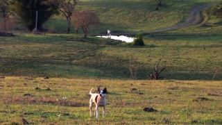 No Copyright Video, No Copyright Stock Footage, No Copyright Stock Video Clip