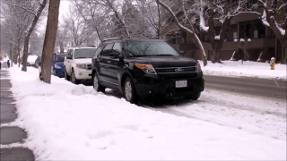 No Copyright Video, No Copyright Stock Footage, No Copyright Stock Video Clip