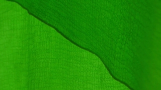 No Copyright Video, No Copyright Stock Footage, No Copyright Stock Video Clip