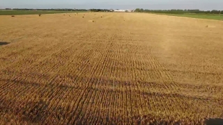 No Copyright Video, No Copyright Stock Footage, No Copyright Stock Video Clip