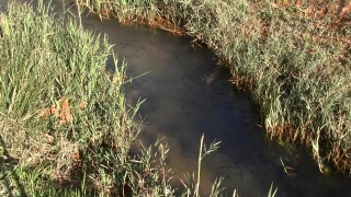 No Copyright Video, No Copyright Stock Footage, No Copyright Stock Video Clip