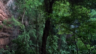 No Copyright Video, No Copyright Stock Footage, No Copyright Stock Video Clip