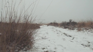 No Copyright Video, No Copyright Stock Footage, No Copyright Stock Video Clip