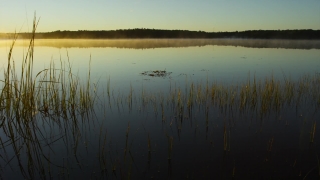 No Copyright Video, No Copyright Stock Footage, No Copyright Stock Video Clip