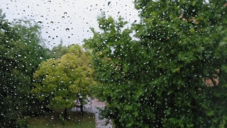 No Copyright Video, No Copyright Stock Footage, No Copyright Stock Video Clip