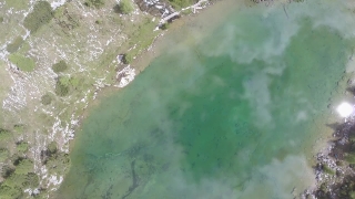 No Copyright Video, No Copyright Stock Footage, No Copyright Stock Video Clip