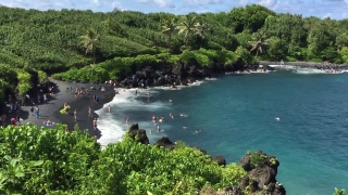 No Copyright Video, No Copyright Stock Footage, No Copyright Stock Video Clip