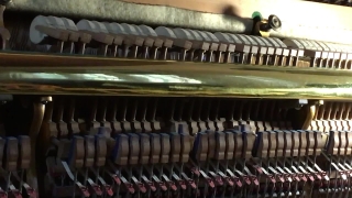 No Copyright Video, No Copyright Stock Footage, No Copyright Stock Video Clip