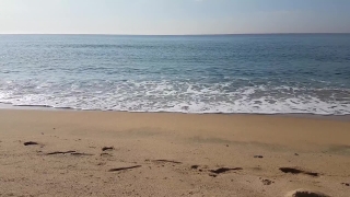 No Copyright Video, No Copyright Stock Footage, No Copyright Stock Video Clip