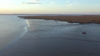 No Copyright Video, No Copyright Stock Footage, No Copyright Stock Video Clip