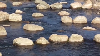 No Copyright Video, No Copyright Stock Footage, No Copyright Stock Video Clip