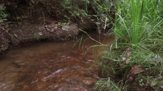 No Copyright Video, No Copyright Stock Footage, No Copyright Stock Video Clip