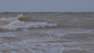 No Copyright Video, No Copyright Stock Footage, No Copyright Stock Video Clip