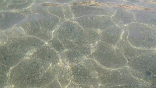 No Copyright Video, No Copyright Stock Footage, No Copyright Stock Video Clip