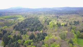 No Copyright Video, No Copyright Stock Footage, No Copyright Stock Video Clip