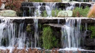 No Copyright Video, No Copyright Stock Footage, No Copyright Stock Video Clip