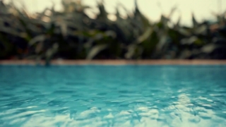 No Copyright Video, No Copyright Stock Footage, No Copyright Stock Video Clip