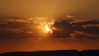 No Copyright Video, No Copyright Stock Footage, No Copyright Stock Video Clip