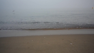 No Copyright Video, No Copyright Stock Footage, No Copyright Stock Video Clip