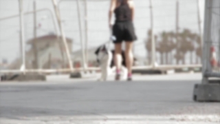 No Copyright Video, No Copyright Stock Footage, No Copyright Stock Video Clip