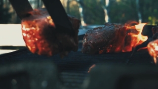 No Copyright Video, No Copyright Stock Footage, No Copyright Stock Video Clip