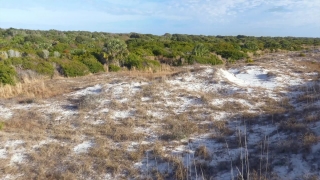 No Copyright Video, No Copyright Stock Footage, No Copyright Stock Video Clip