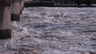 No Copyright Video, No Copyright Stock Footage, No Copyright Stock Video Clip