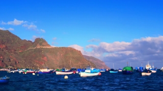 No Copyright Video, No Copyright Stock Footage, No Copyright Stock Video Clip